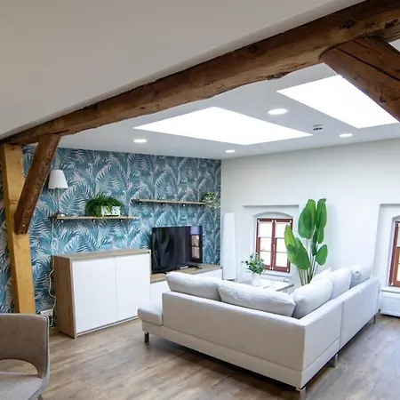 Homestay Exklusive Im Gruenderzeitjuwel